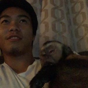 Meet your Posher, Peng